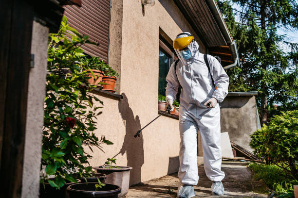 Best Pest Control Near Me  in Lower Lake, CA